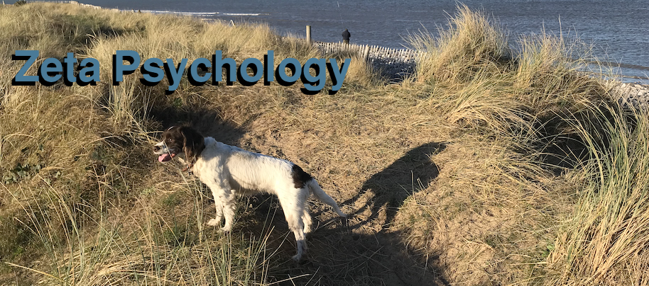 Zeta Psychology